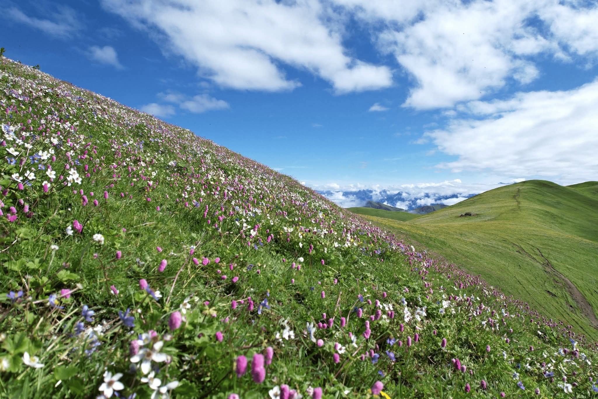 chauri kharka (4).jpg